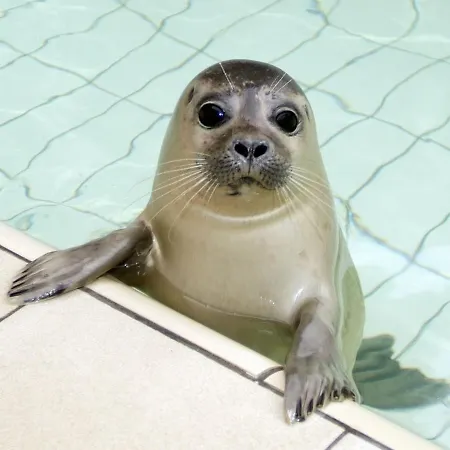 Modern Near Texel Σπίτι διακοπών Westermient